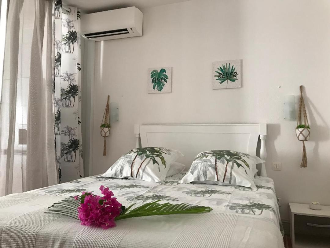 Coeur Tiare Studio Lounge Piscine Plage Cocotiers 생프랑수아 외부 사진